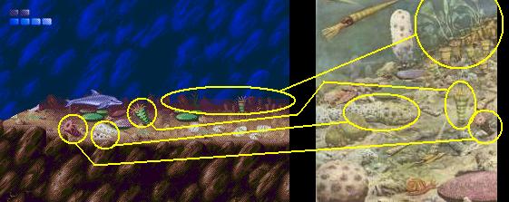 Ecco le dauphin Formations rocheuses du fond de l'océan