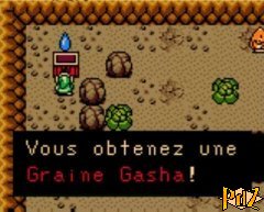 Zelda Oracles graine Gasha